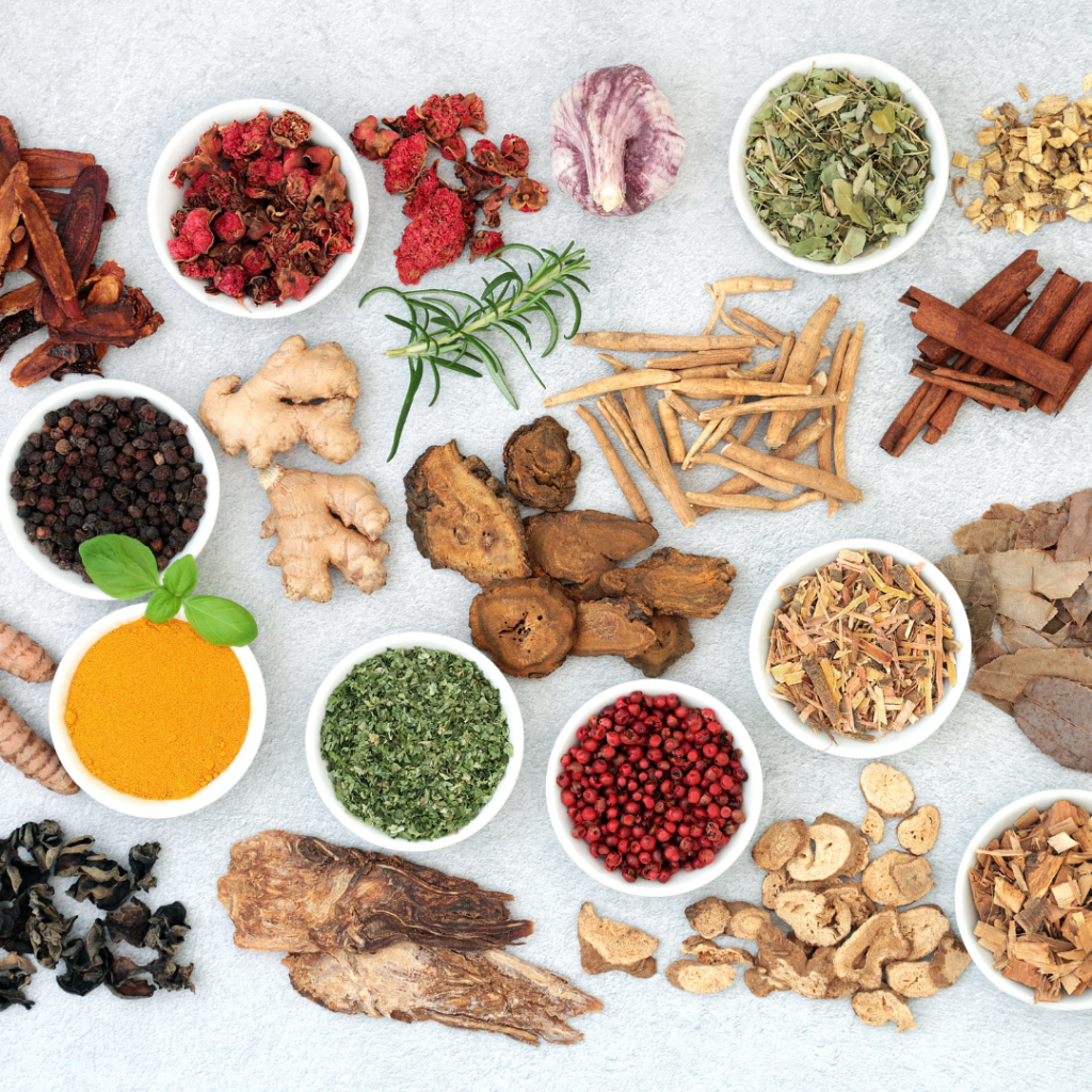 herbal medicine naturopath