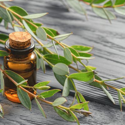 Remedy-in-a-bottle-with-leaves